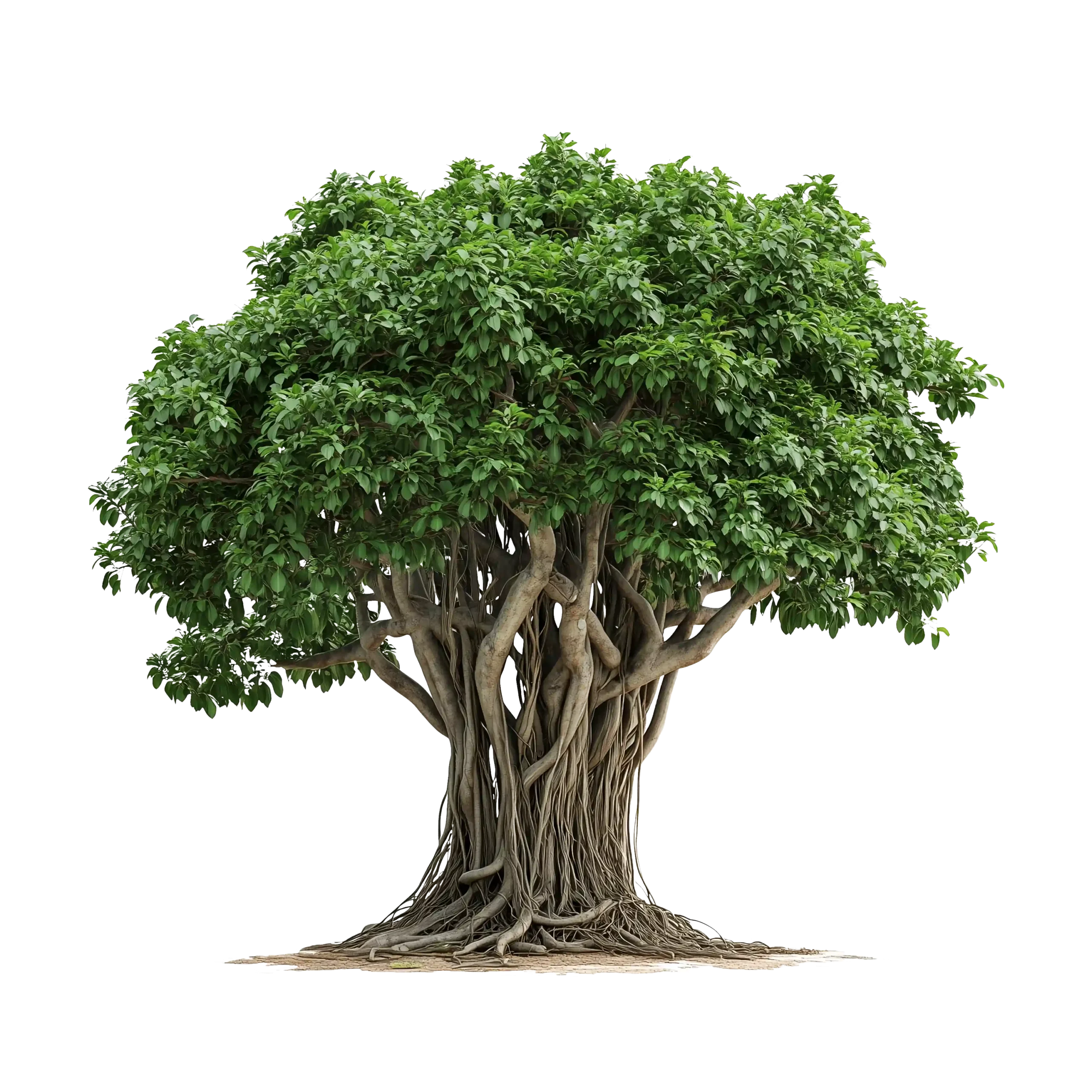 BTREE (1)